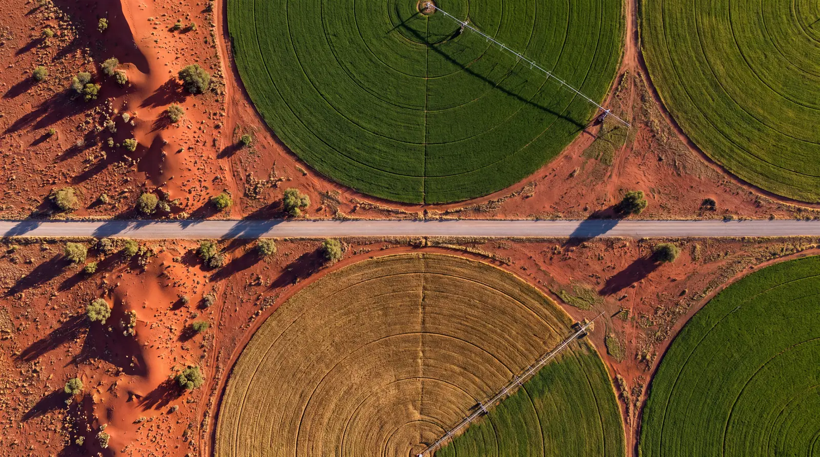 Aerial view of centre-pivot irrigated fields in red sand